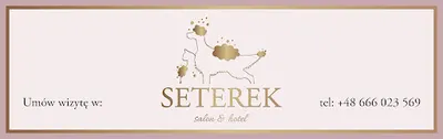 Salon Seterek